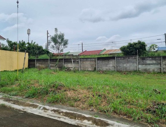 174 sqm Residential Lot for Sale in Dasmarinas Cavite along Molino Road near Vista City Foresta