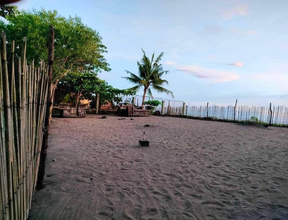 500 sqm Beach Property For Sale in Iba Zambales