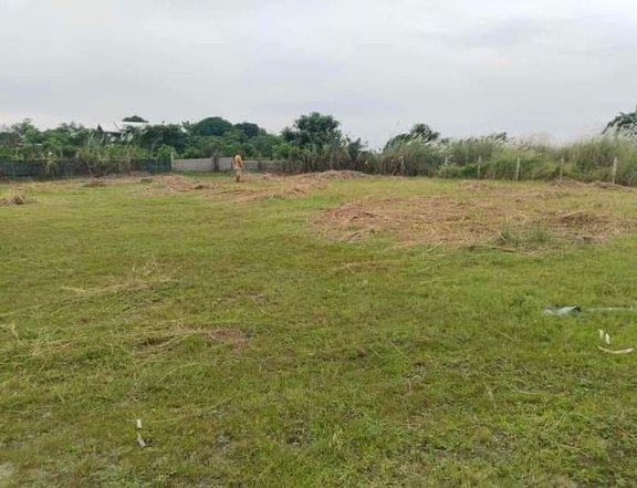 1,326 sqm Residential farm Lot For Sale in Bacolor Pampanga