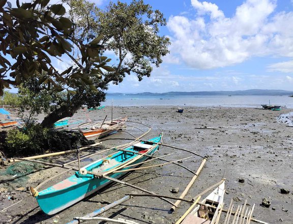 3.83 hectares Farm Lot For Sale in Gumaca Quezon