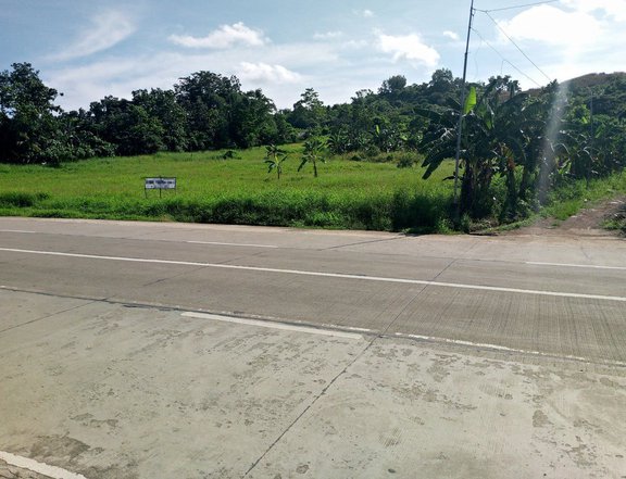 Commercial lot for sale main road sta. Ana Estancia Iloilo for more details pls pm or contact us #