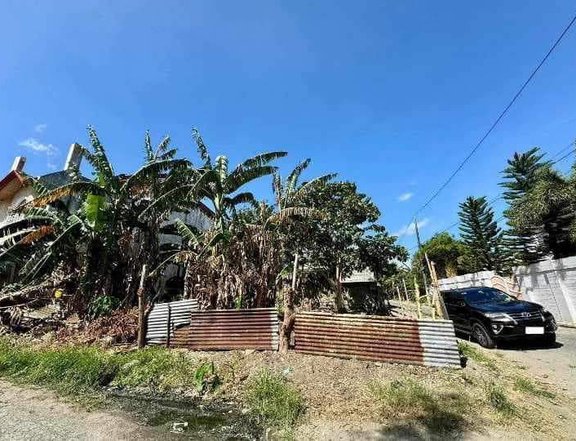 175 sqm Residential Lot For Sale in Calamba hills