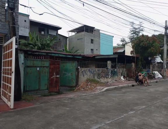 300 sqm Residential Lot For Sale in marulas Valenzuela