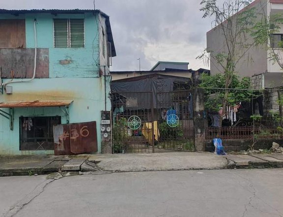 240 sqm Residential Lot For Sale in Valenzuela Metro Manila