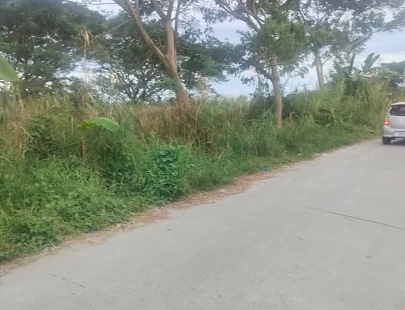 246 sqm Residential Lot For Sale in San Fernando Pampanga