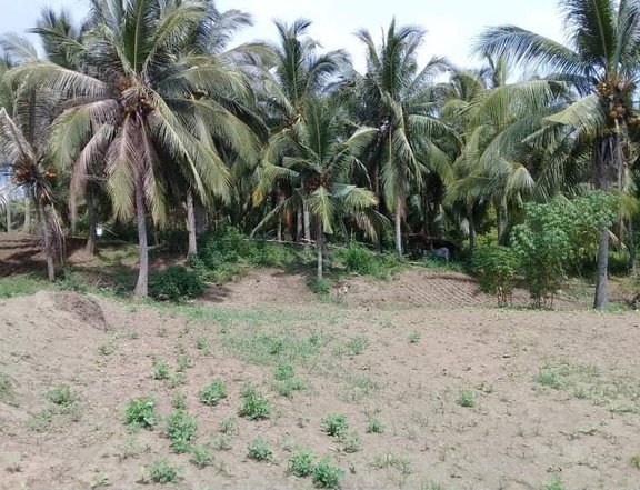 FARM LOT FOR SALE !!!