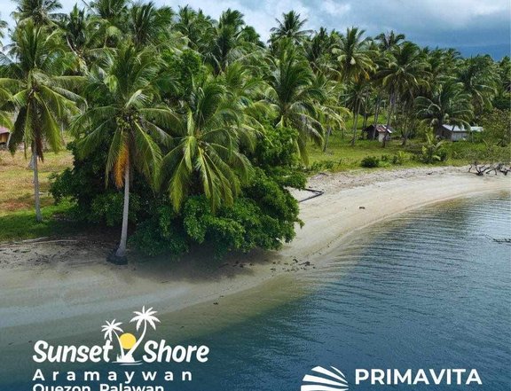 650 sqm Prime Beach Front Lots For Sale in Quezon Palawan