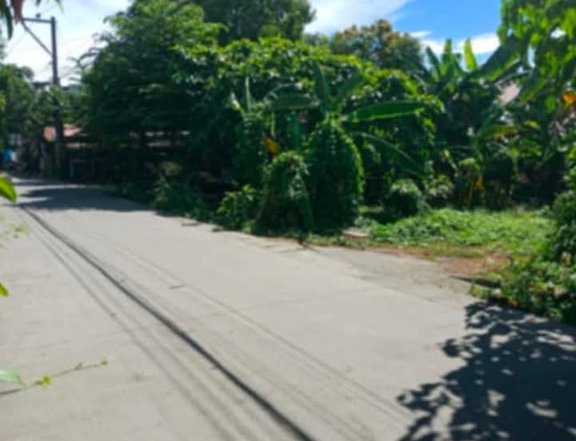 300 sqm Residential Lot For Sale in Bulakan Bulacan