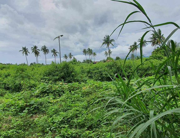 4.96 hectares farm lot for sale in Calaca Batangas