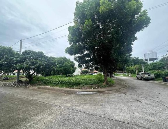 176 sqm Residential Farm For Sale in grand seville subd cabuyao lagunalle subdyao Laguna