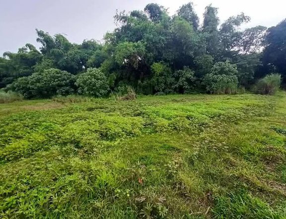 4,600 sqm Farm Lot For Sale in Tarlac City