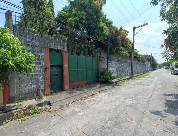 1200 sqm Residential Lot For Sale in San Fernando Pampanga