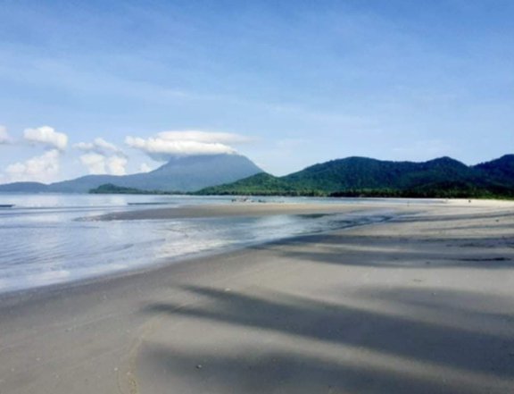 White Sand Beach Property For Sale in San Vicente Palawan