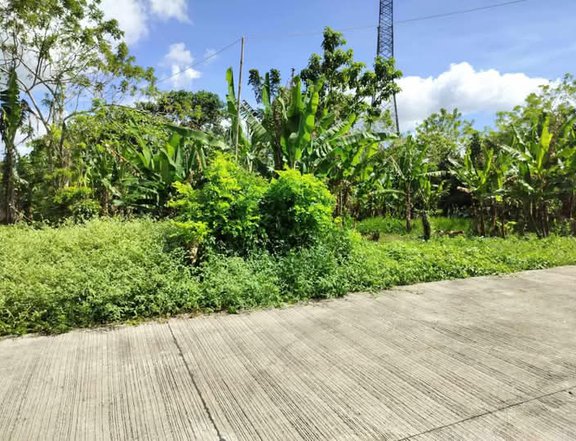 1,000 sqm Residential Lot For Sale in indang Cavite