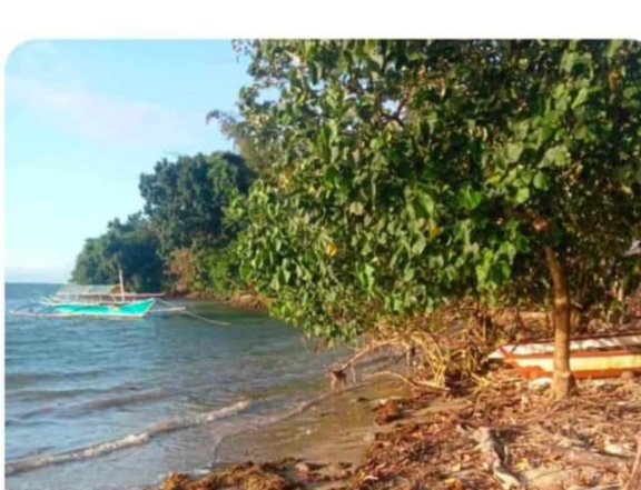 Farm land near seashore clean title 100 pesos per square meter