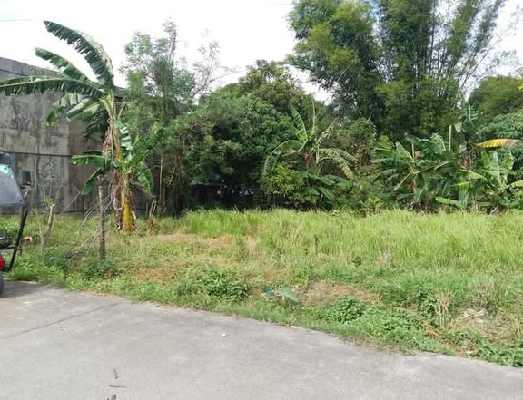 150 sqm Residential Lot For Sale in manggahan General Trias Cavite