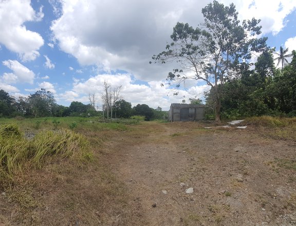 9.44 hectares Residential Farm For Sale in Mataasnakahoy Batangas
