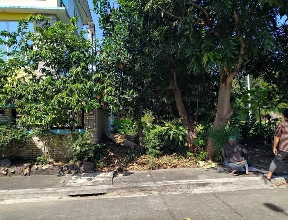 Commercial Space industrial lot For Sale in Cabuyao Laguna