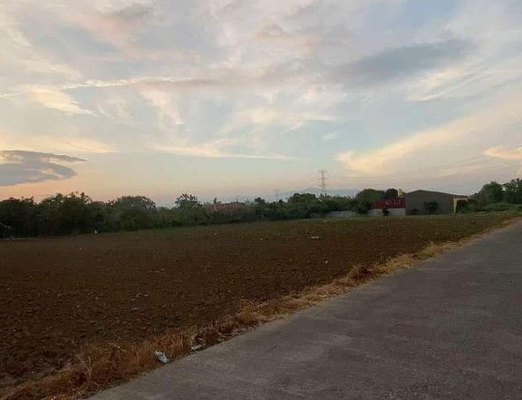 6,000 sqm Residential Farm For Sale in Tanauan Batangas