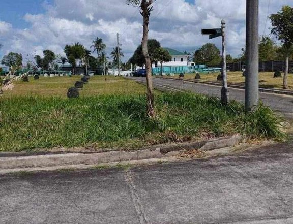 198 sqm Residential Lot For Sale in Lipa  royale estates Batangas