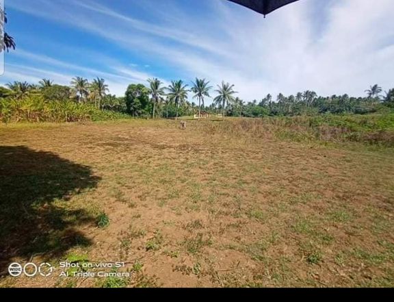 farm lot with overlooking view kaytitinga alfonso cavite