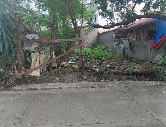 144 sqm Residential Lot for Sale in Town and Country Subdv Brgy Sto tomas Binan Laguna