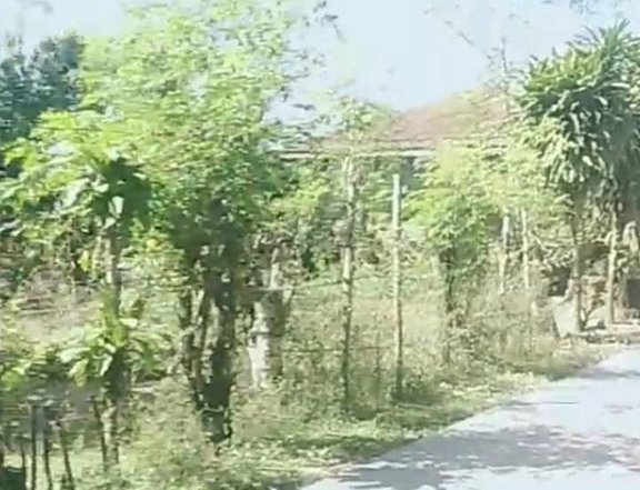 1,000 sqm Residential Farm For Sale in Capas Tarlac