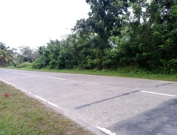 44 130 sqm Vacant Lot in Taft, Tapaz  Capiz