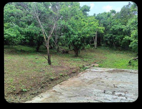 Pre-Owned 1,000 sqm Residential Farm For Sale in Indang Cavite