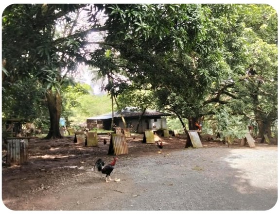 Farm land with vacation house
