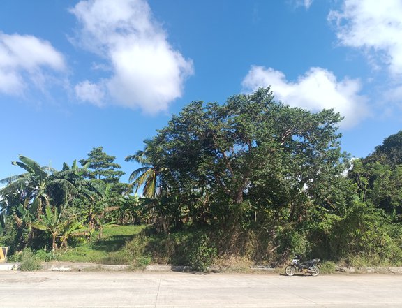 1,600 Sqm Residential Lot for sale in East West Road Amadeo Cavite