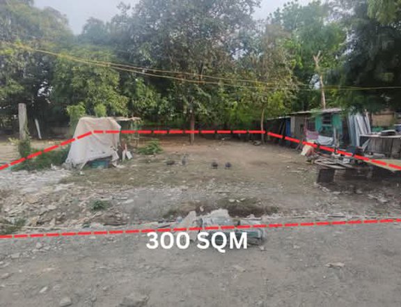300 sqm Residential Lot For Sale in Imus Cavite