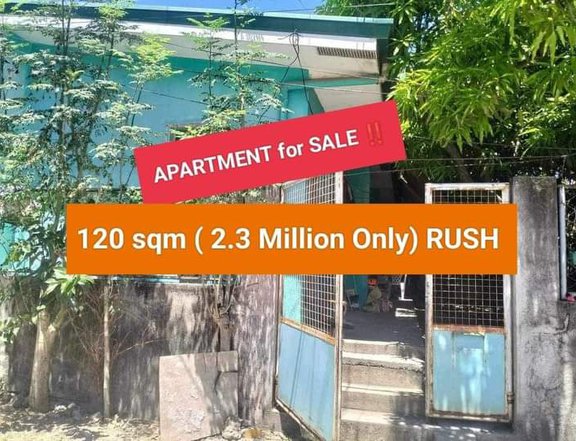 Ready For Occupancy 30.00 sqm 2-bedroom Apartment For Sale in Santa Rosa Laguna