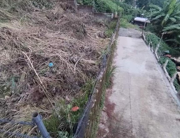 250 sqm Residential Lot For Sale in  irisan Baguio Benguet