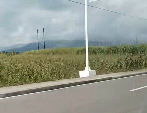 a Sugarcane Farm Lot along the National Highway.