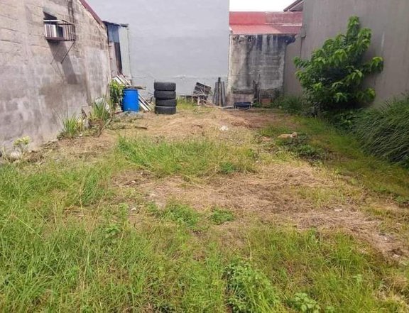 103 sqm Residential Lot For Sale in don pablo tagapoSanta Rosa Laguna