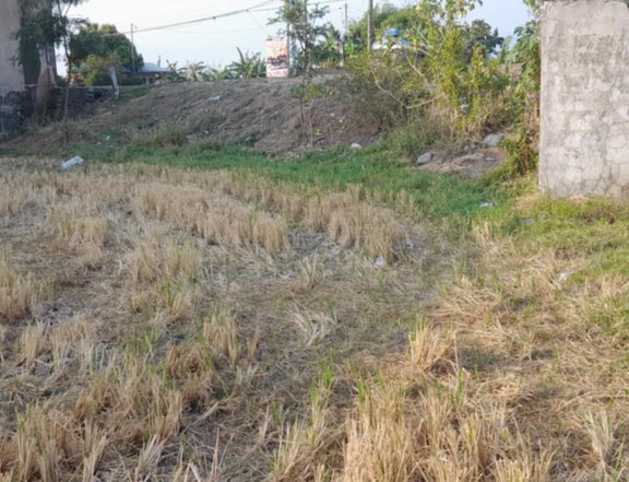 8,287 sqm commercial lot for sale in Mangatarem Pangasinann