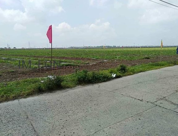 Subdivided lots for Sale!!! Buenavista Mexico Pampanga location