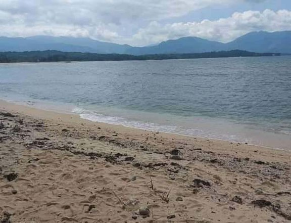 12 Hectares Beach Property for sale in Pagudpud ,Ilocos Norte