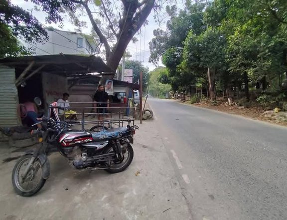 349 sqm Commercial Lot For Sale antipolo