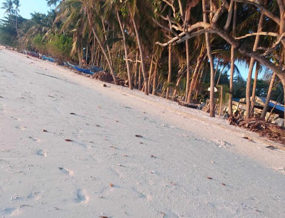 Beach Lot for Sale in San Juan, Siquijor