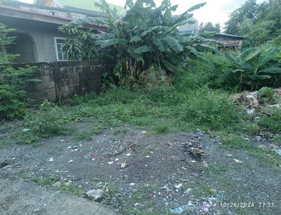 254 sqm Residential Lot for Sale in Cabanatuan City Nueva Ecija