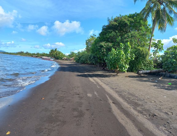 6,505sqm beachfront lot for sae in Hindi, Bacacay, Albay