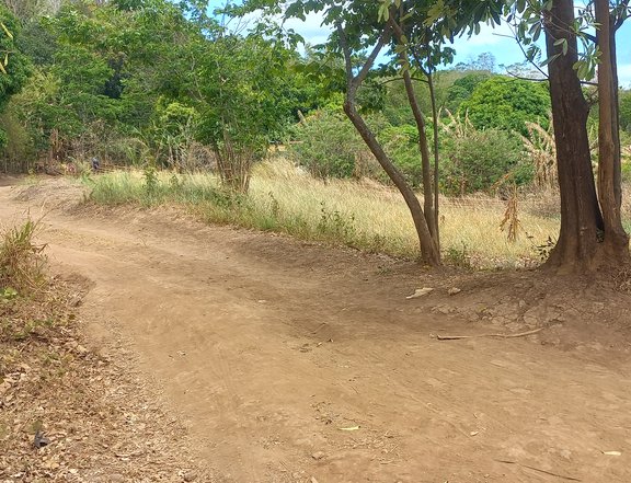 11has raw land for sale in Baras, Rizal