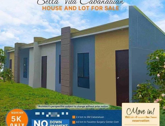 Property Investment in Cabanatuan Nueva Ecija