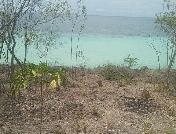 cliff beach lot facing the fish sanctuaryTu