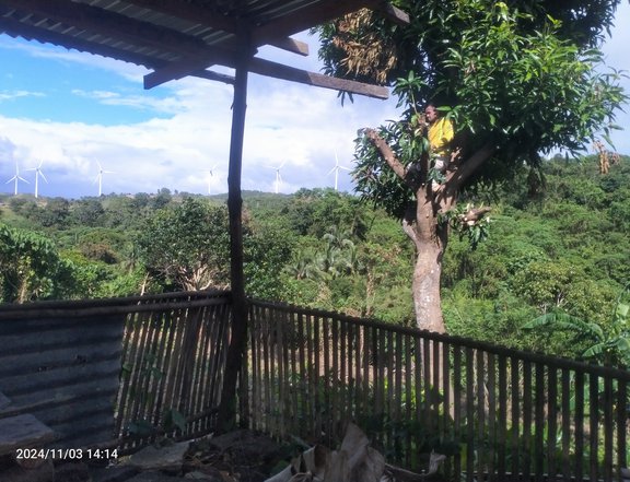 Commercial Property for sale in Pililla Rizal