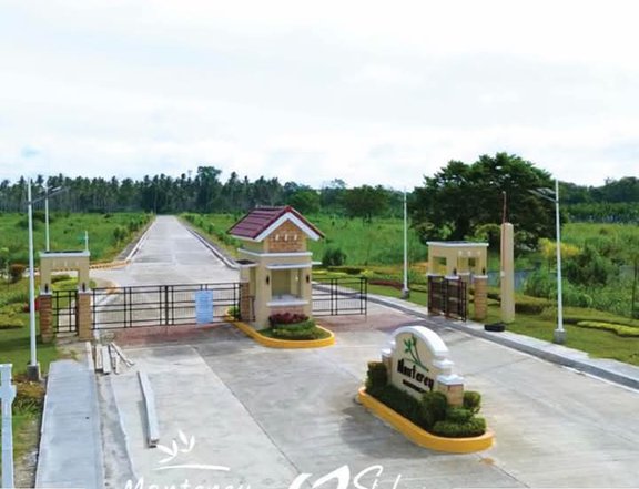 Hello I am selling a Residential lot in Panabo City,it is customized by home owner.