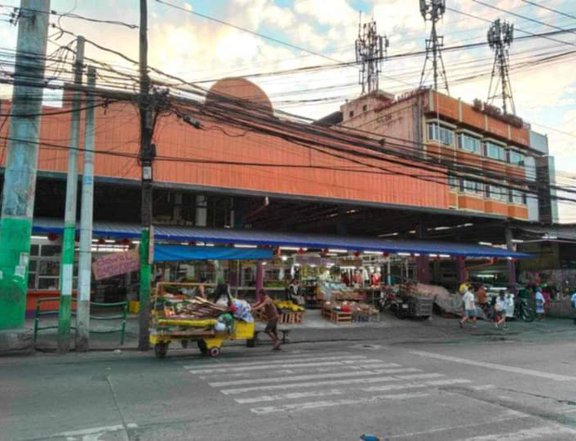 Commercial Market For Sale in Novaliches, Quezon City (Bayan)