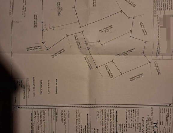 Foreclosed approximately 10.6hectares Farm Lot for Sale in Ormoc City,Leyte